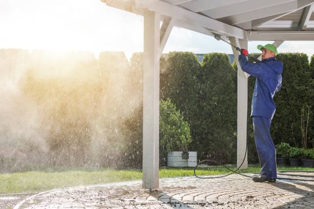 Best Roof Washing  in Windsor, MO